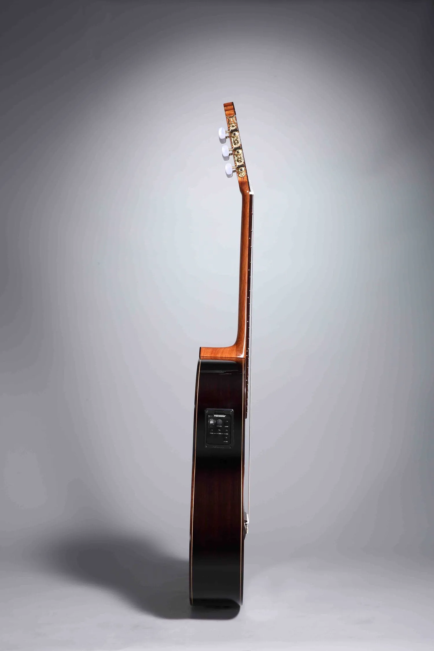 Altamira N300CE Cedar Top Classical Guitar