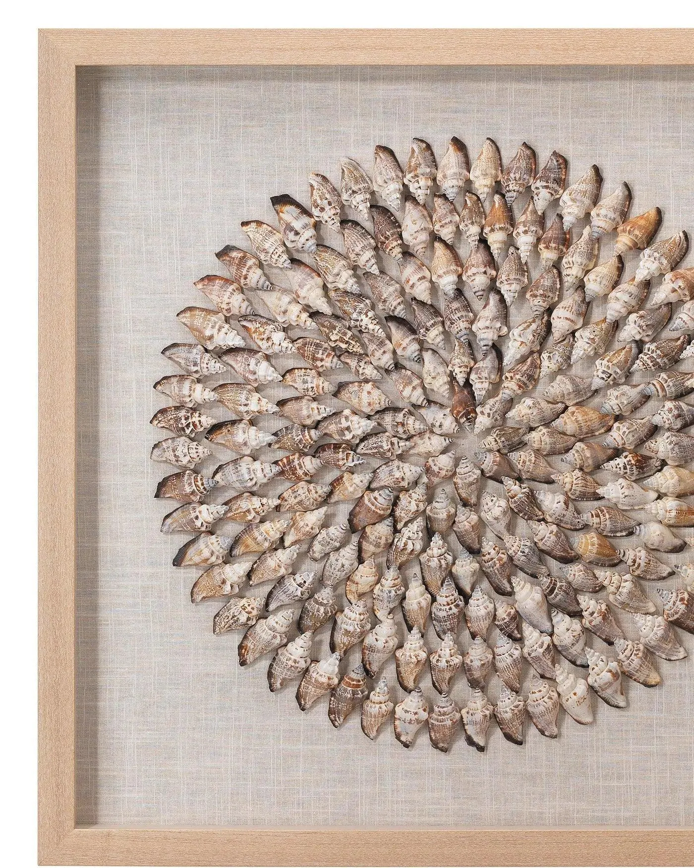 Coastal Style Beige Conch Shells Riviera Framed Wall Art