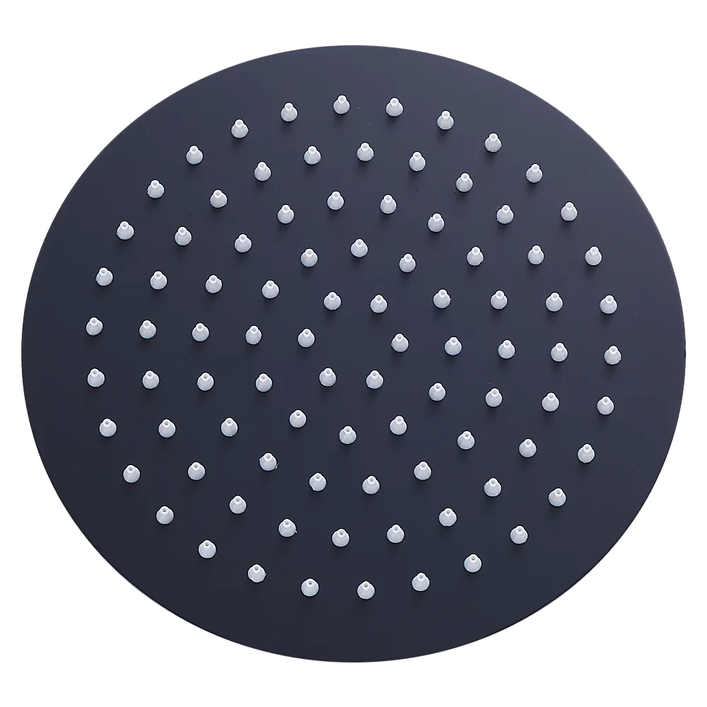 Eco-Friendly 200mm Matte Black Rain Shower Head 304SS