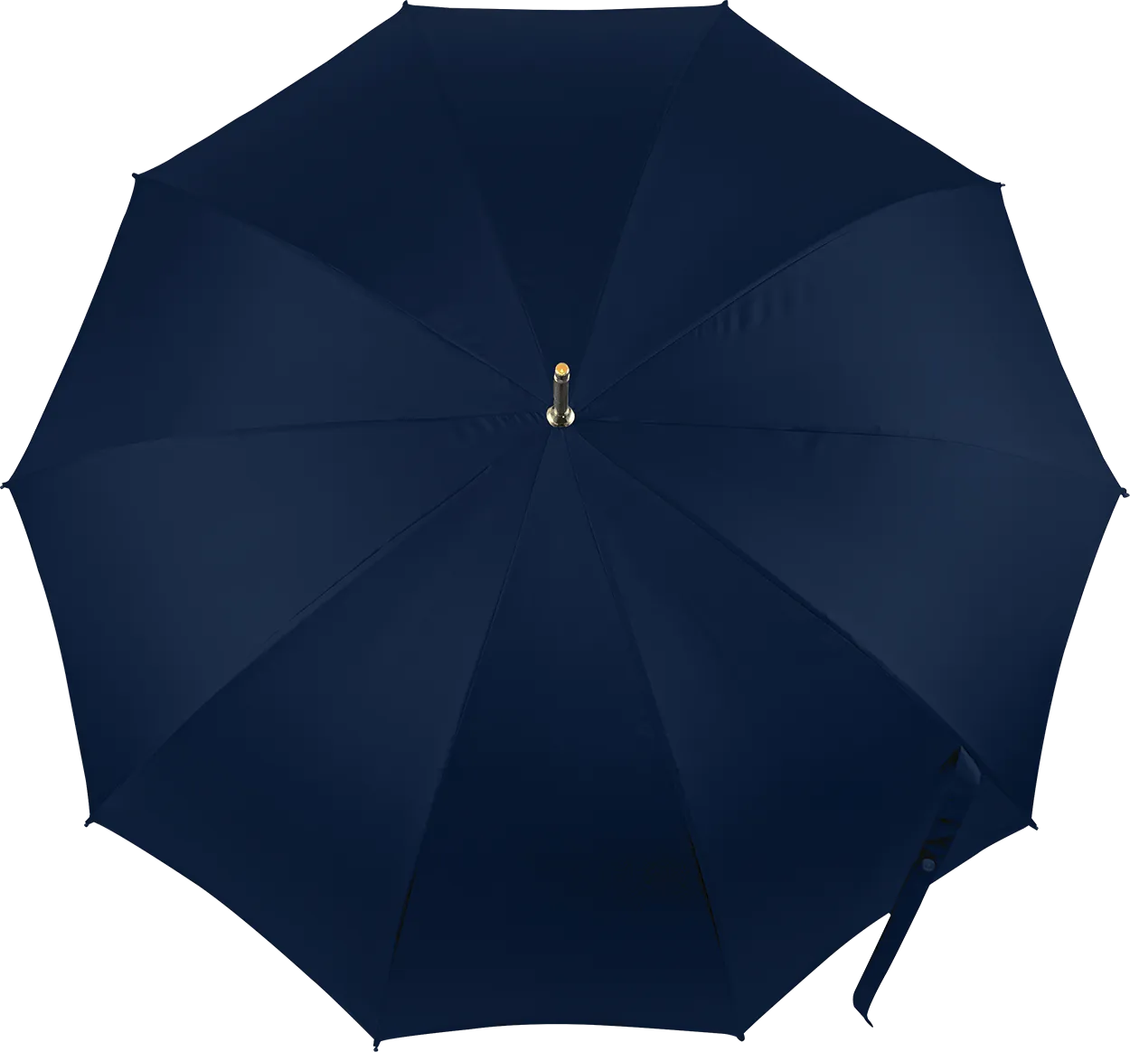 Elegant Double canopy blue umbrella