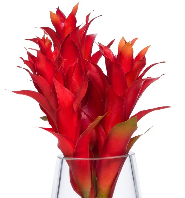 Red Bromeliad Stateroom Bouquet Yacht Silks Arrangement
