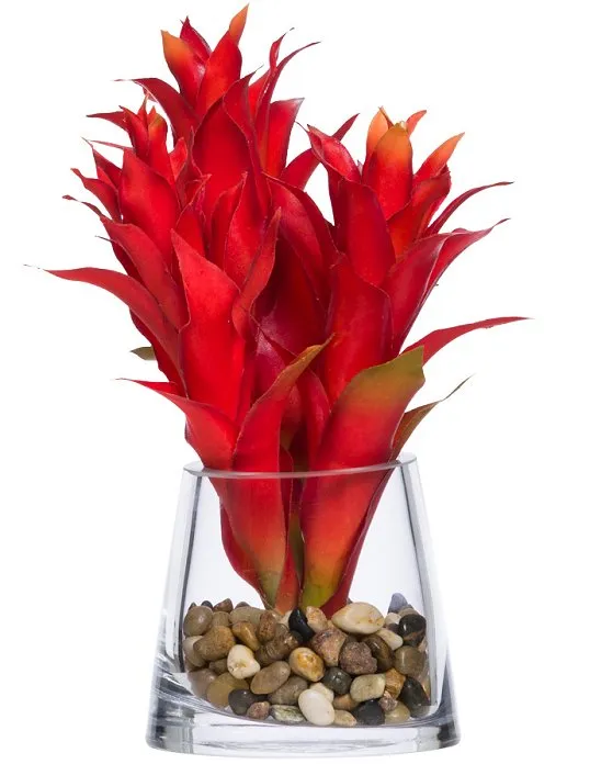 Red Bromeliad Stateroom Bouquet Yacht Silks Arrangement